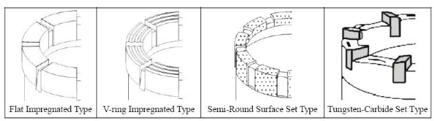 loại gi&agrave;y c&oacute; vỏ kh&aacute;c nhau
